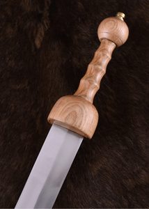Roman Gladius Pompeii with leather scabbard
