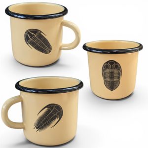 Trilobite Enamel Mug