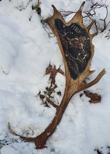 PERUN, engraved antler