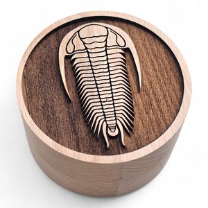 Wooden box for fossils, Trilobit