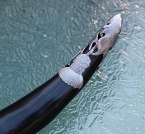SCOTTISH THISTLE- Alba, drinking horn DE LUXE