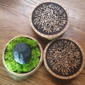 MOLDAVITE oak box for collectors of stones, moldavite and bracelets