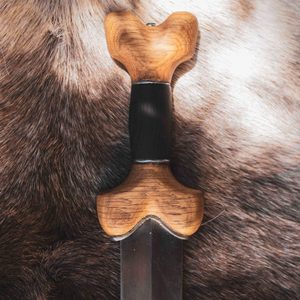 RUARC, Celtic sword, La Téne period