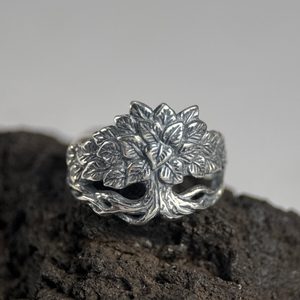 Chaux, bague, argent