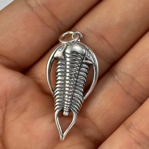TRILOBITE, silver pendant, Ag 925