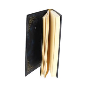 The Wild One, notebook 17 cm