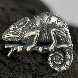 CHAMELEON, sterling silver pendant