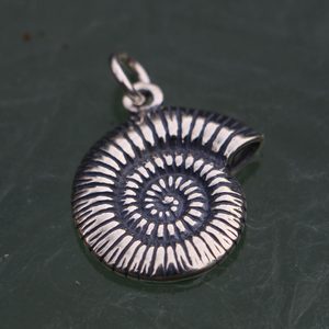 AMMONITE - PENDENTIF, ARGENT - BIJOUX NAUTIQUES, ET PÊCHE{% if kategorie.adresa_nazvy[0] != zbozi.kategorie.nazev %} - BIJOUX EN ARGENT{% endif %}