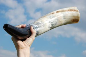 Cor de signalisation, 50 cm