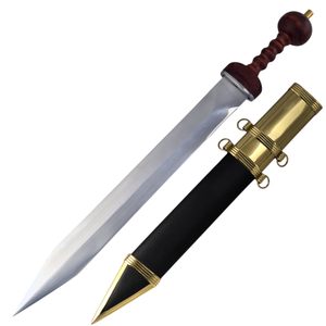 Gladius, Roman sword of Pompeii type