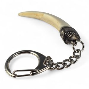 Boar's tooth - wild boar's tooth