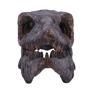 Archaeopteryx, skull, imitation, 18cm