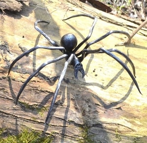 BLACK WIDOW, FORGED SPIDER FIGURE - GEHÄMMERTE PRODUKTE{% if kategorie.adresa_nazvy[0] != zbozi.kategorie.nazev %} - SCHMIEDEARBEITEN, MINTAGE{% endif %}