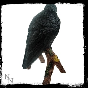 RAVEN, STATUETTE - ANIMAL FIGURES{% if kategorie.adresa_nazvy[0] != zbozi.kategorie.nazev %} - PAGAN DECORATIONS{% endif %}