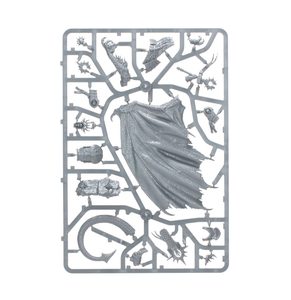WARHAMMER AGE OF SIGMAR - IONUS CRYPTBORN, GARDIEN DES ÂMES PERDUES