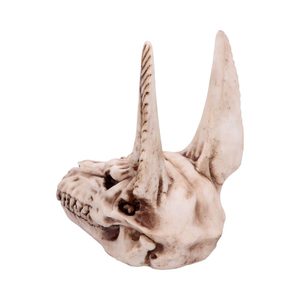 Anubis, skull, decoration 17cm