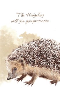 Tarot Cards, Power Animal Cards GB