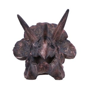 Triceratops, skull, imitation, 14,5cm