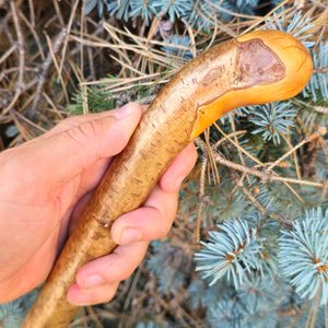 Shillelagh - bâton de marche irlandais, noisetier