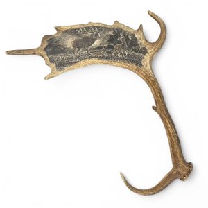 DEER and DOE, fallow deer antler - Scrimshaw