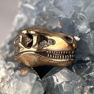 TYRANNOSAURUS REX, T-Rex, skull pendant, bronze