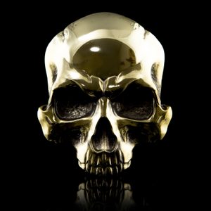 SKULL, belt buckle, brass