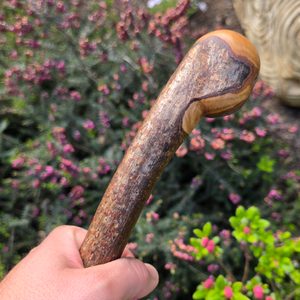 Shillelagh, Irish stick, hazel