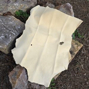 PEAU DE CERF TCHÈQUE DE QUALITÉ POUR LE NETTOYAGE DES VITRES ET DES CARROSSERIES DE VOITURES - FOURRURES, CUIRS, PARCHEMINS{% if kategorie.adresa_nazvy[0] != zbozi.kategorie.nazev %} - BUSHCRAFT, RECONSTITUTION, ACCESSOIRE{% endif %}