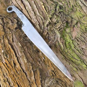 Celtic Long Knife, Lipany, Bohemia, 3rd-1st century