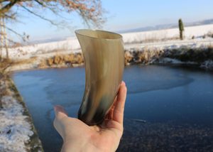 Coupe décorative en corne