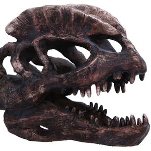 Dilophosaurus , skull, imitation, 16cm