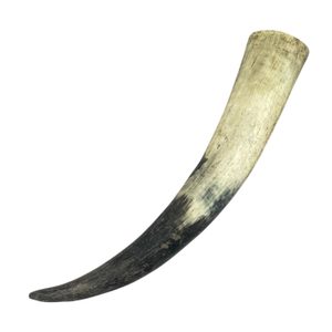 Cow horn raw large 0,5l