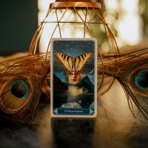 TAROTKARTEN, CHRISTEPHANIA KIPPER GB - MAGIKZUBEHÖR{% if kategorie.adresa_nazvy[0] != zbozi.kategorie.nazev %} - MAGIK{% endif %}