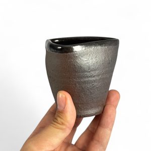 TASSE, XIIIe siècle, Český Krumlov