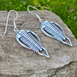 Boucles d'oreilles trilobites, argent 925/1000