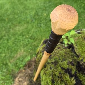 VITIS, Roman walking stick