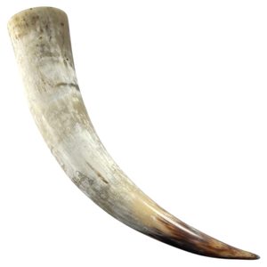 DRINKING HORN, Long, 2.5 Litre