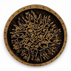 Boîte en chêne MOLDAVITE pour collectionneurs de pierres, moldavite et bracelets