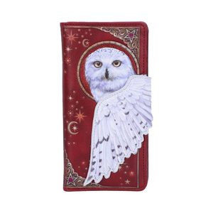 Magical Flight, wallet 18,5 cm