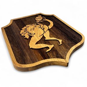 Bottomless Hole, wooden wall shield, Kingdom Come: Deliverance 2, large