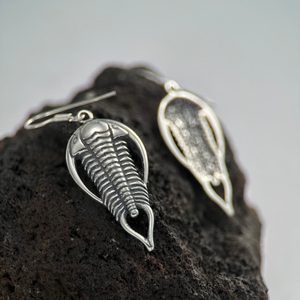 Boucles d'oreilles trilobites, argent 925/1000