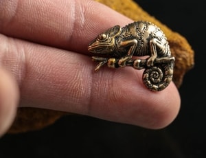 CHAMELEO, pendant, bronze