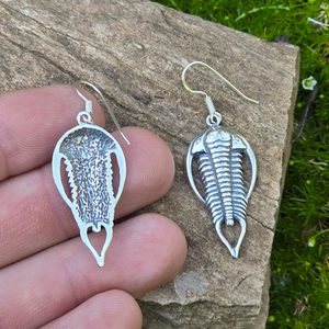Boucles d'oreilles trilobites, argent 925/1000