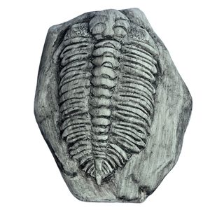 TRILOBIT, replica of a fossil