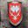 Lords of Talmberg - Coat of Arms, medieval shield - metal