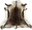 Pelz