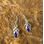 COLLEEN, earrings, lapis lazuli, silver