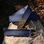 VIKING BELT, Borre Beast, leather bronze Blue