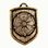 Rose of Rosenberg, medieval coat of arms in shield, zinc, old brass