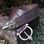 FLEUR brown Leather Belt